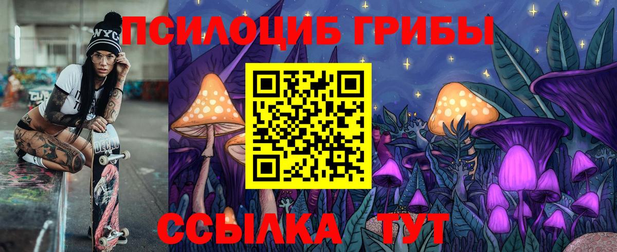Галлюциногенные грибы прущие грибы  Вход с VPN  Лабинск  Галлюциногенные грибы Psilocybe 